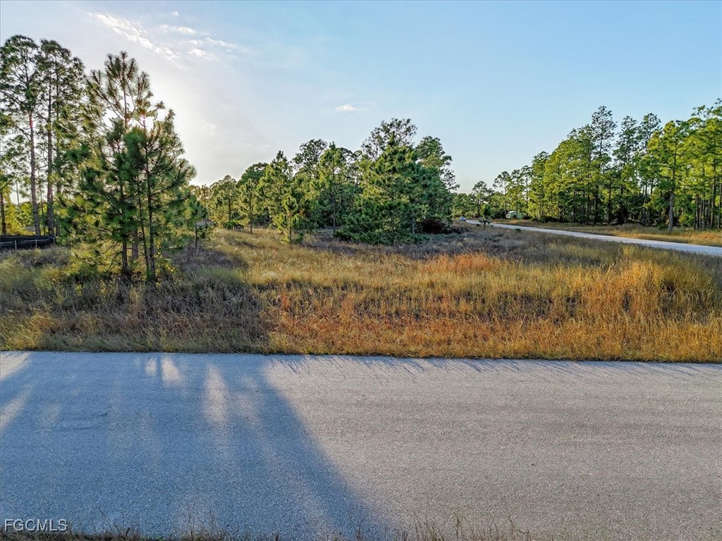 1118 Orient Street E Lehigh Acres FL 33974 2026004179 image11
