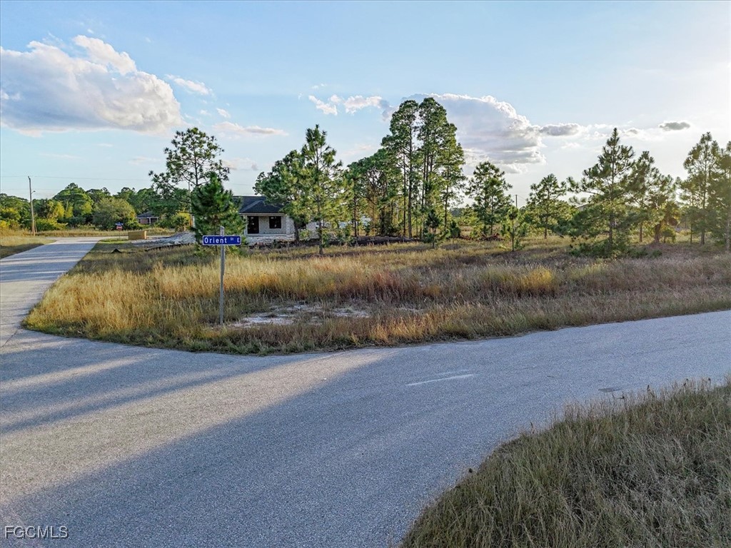 1118 Orient Street E Lehigh Acres FL 33974 2026004179 image2