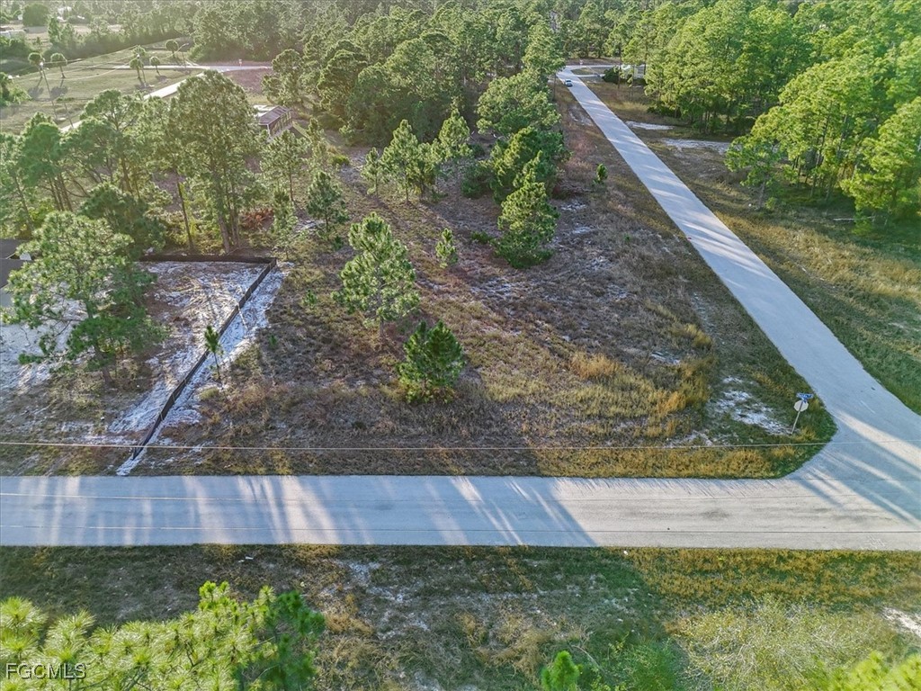 1118 Orient Street E Lehigh Acres FL 33974 2026004179 image3