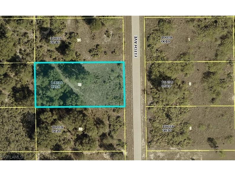 1119 Fitch Avenue Lehigh Acres FL 33972 226011059 image1