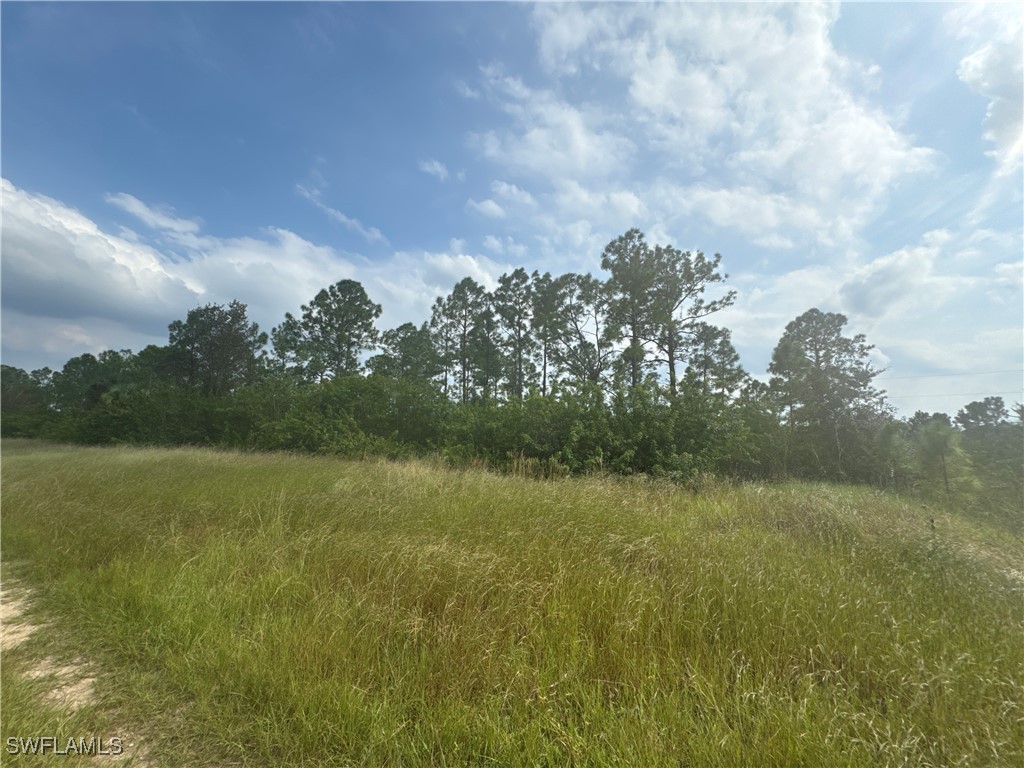 112/114 W 12th Street Lehigh Acres FL 33972 224090083 image1