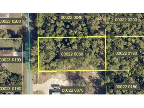 112 Leroy Avenue Lehigh Acres FL 33936 223012881 image1