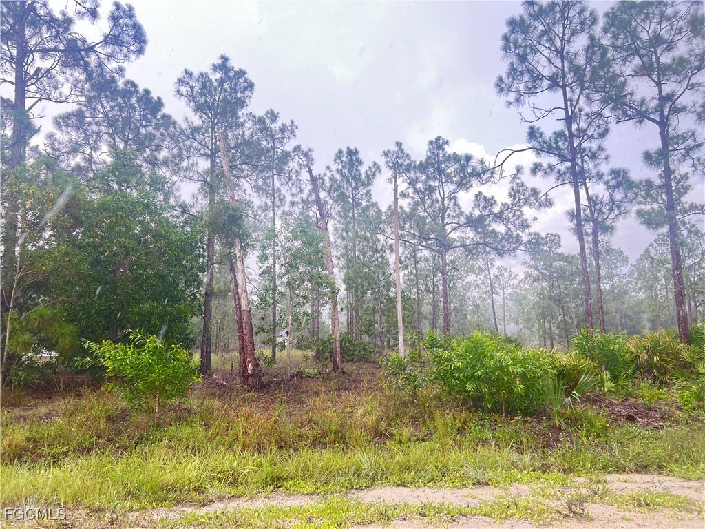 112 Scott Avenue Lehigh Acres FL 33936 2025004207 image2