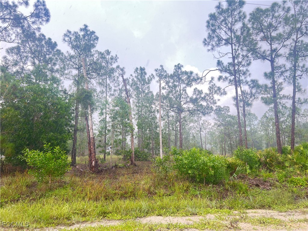 112 Scott Avenue Lehigh Acres FL 33936 2025004207 image3