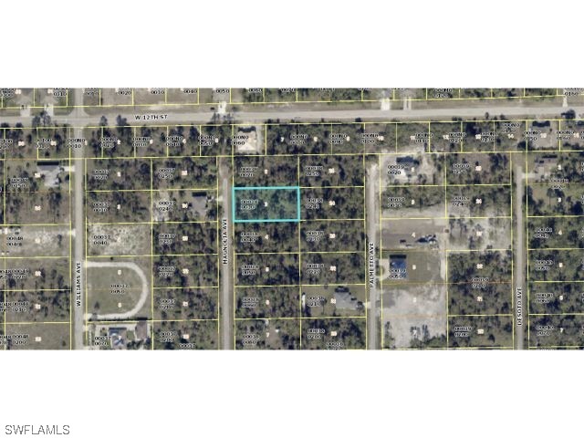 1120 Magnolia Avenue Lehigh Acres FL 33972 223024987 image1