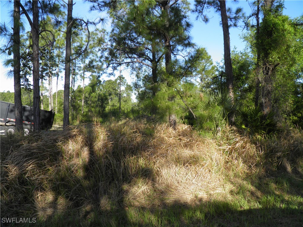 1121 Desoto Avenue Lehigh Acres FL 33972 225030246 image1