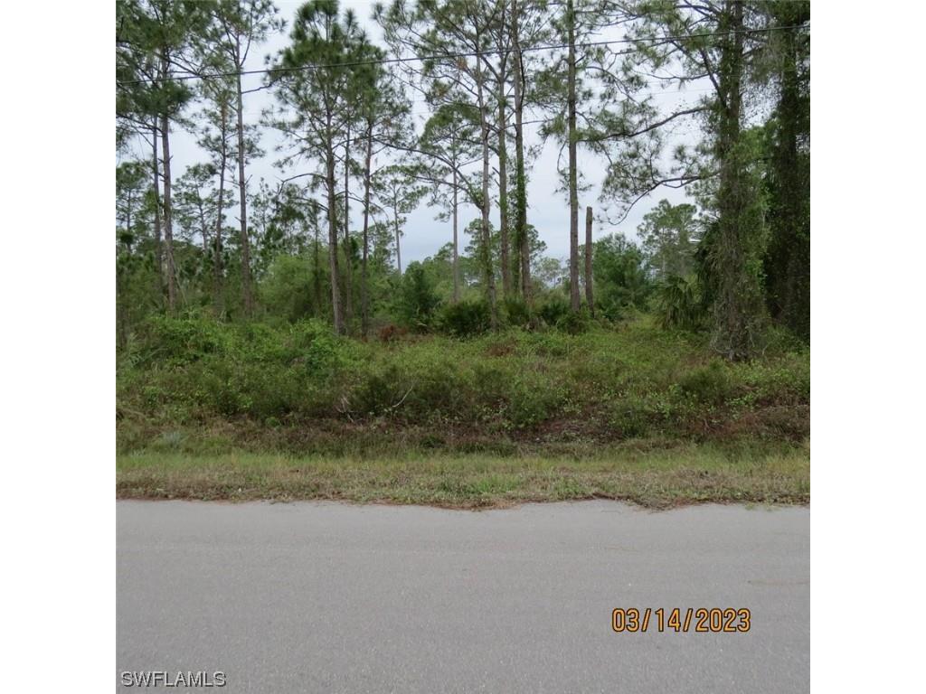 1121 Mcarthur Avenue Lehigh Acres FL 33936 223020253 image1