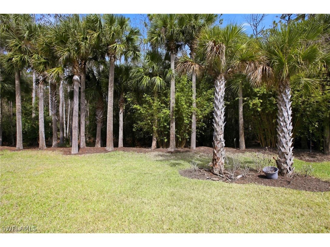 11216 Carlingford Road Fort Myers FL 33913 226001303 image37