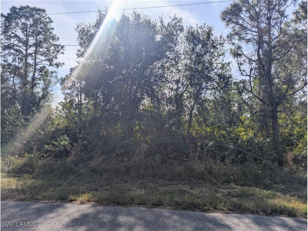 1122 Cove Street E Lehigh Acres FL 33974 225001079 image1