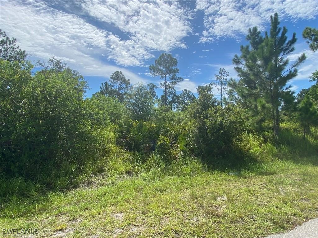 1122 Edward Avenue Lehigh Acres FL 33936 224073866 image1