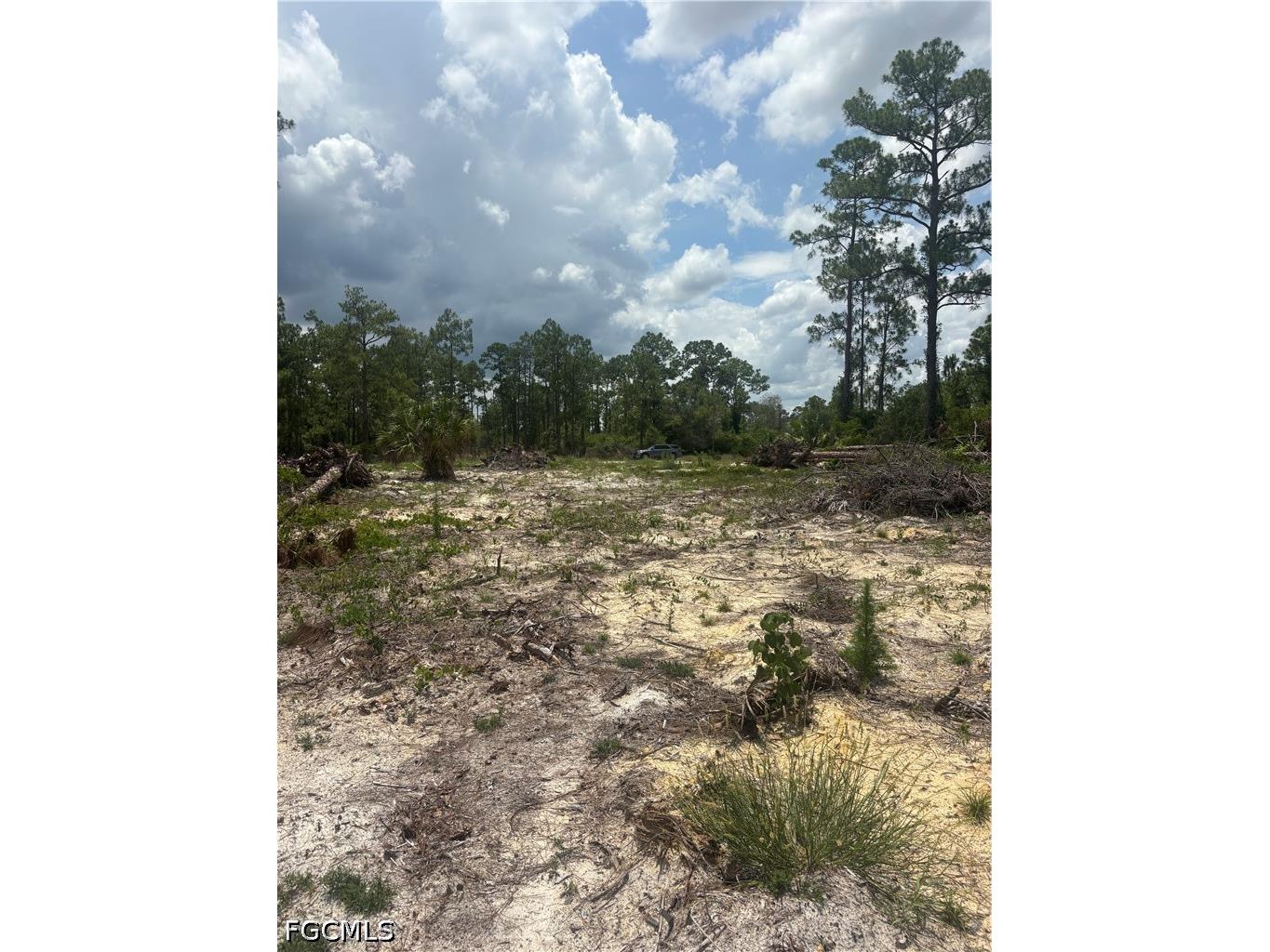 1122 Johns Avenue Lehigh Acres FL 33972 2026025598 image5