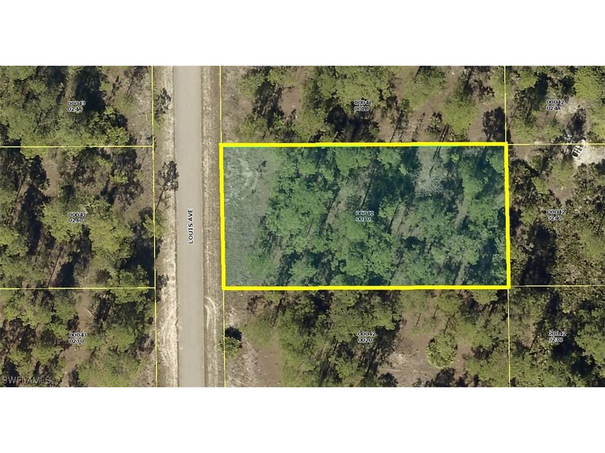 1122 Louis Avenue Lehigh Acres FL 33972 223039702 image1