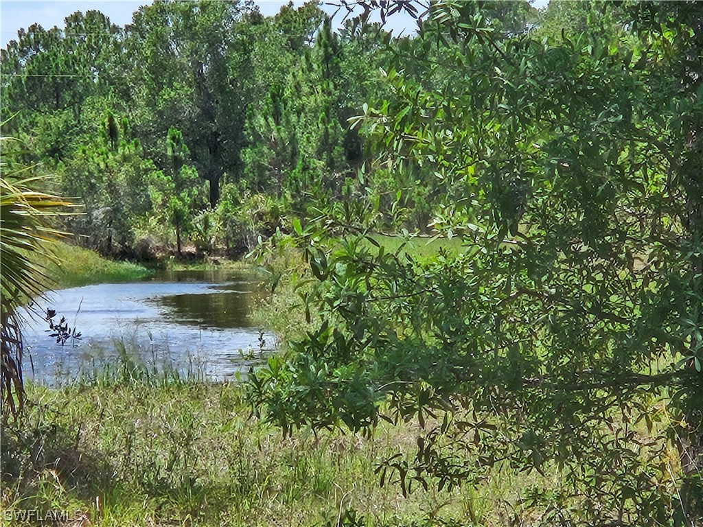 1122 Ramose Street E Lehigh Acres FL 33974 223043640 image1