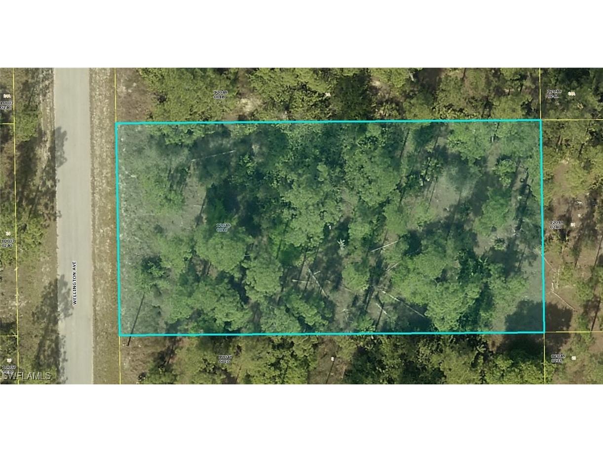 1122 Wellington Avenue Lehigh Acres FL 33972 224066756 image1