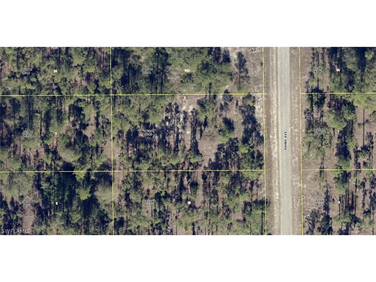 1123 Johns Avenue Lehigh Acres FL 33972 224030081 image1