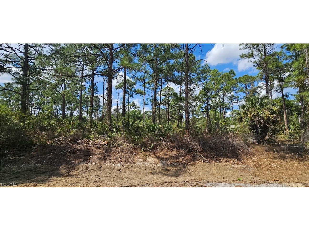 1123 Lincoln Avenue Lehigh Acres FL 33972 2026011137 image1