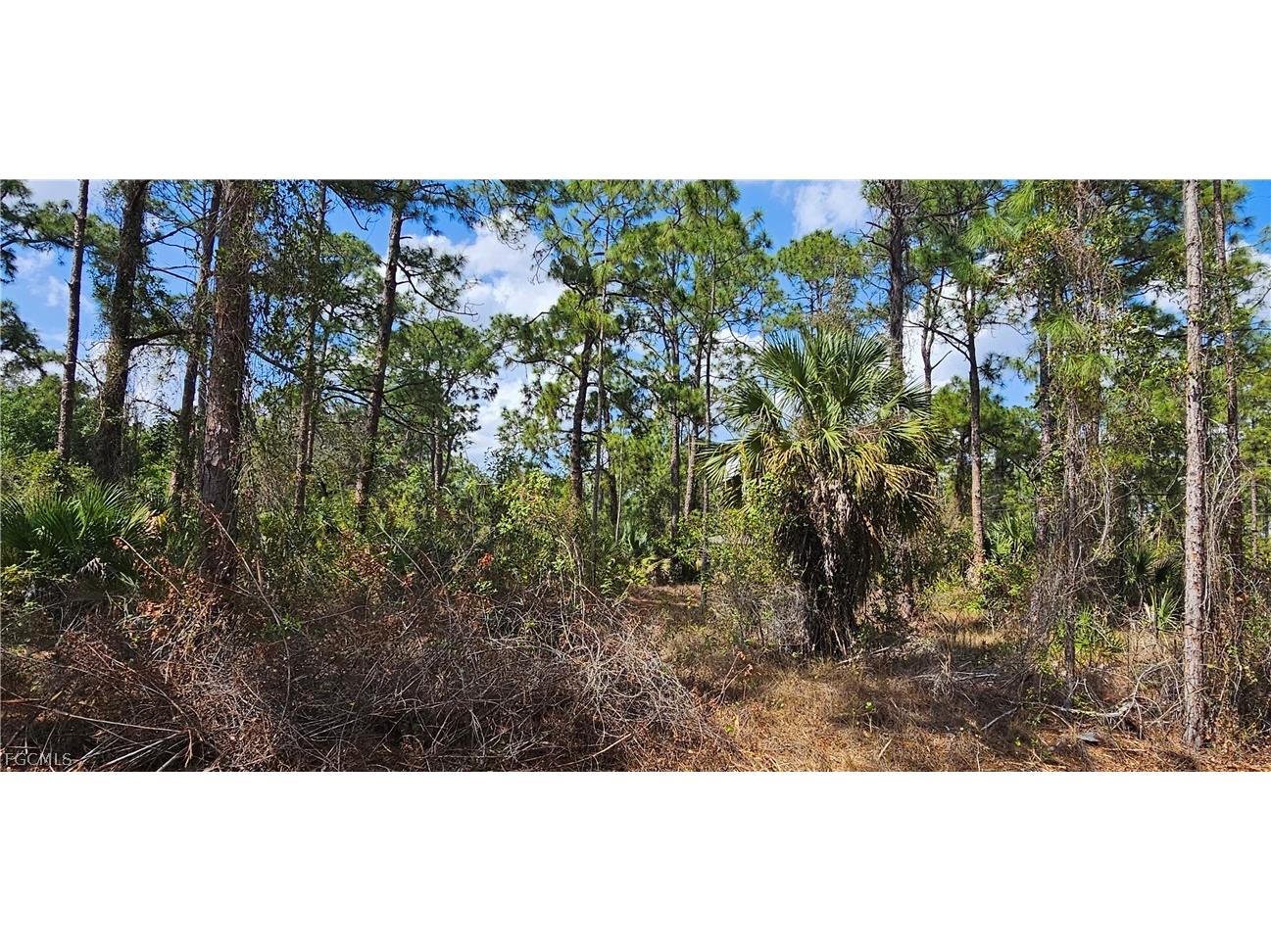1123 Lincoln Avenue Lehigh Acres FL 33972 2026011137 image3