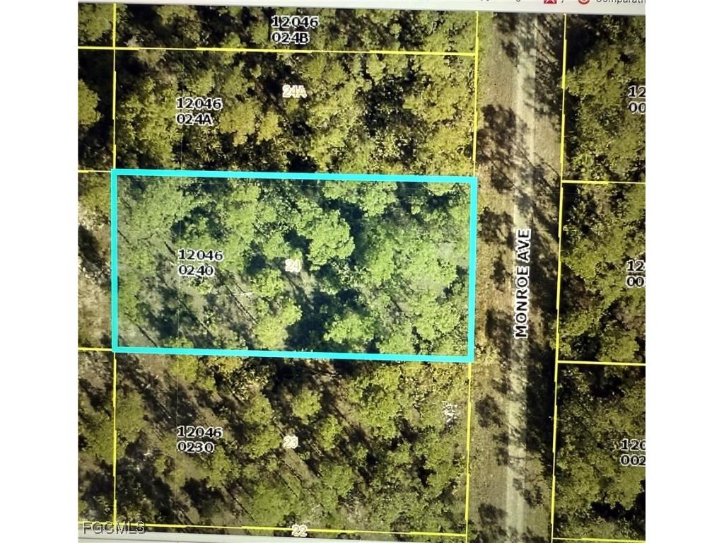 1123 Monroe Avenue Lehigh Acres FL 33972 2025022488 image1