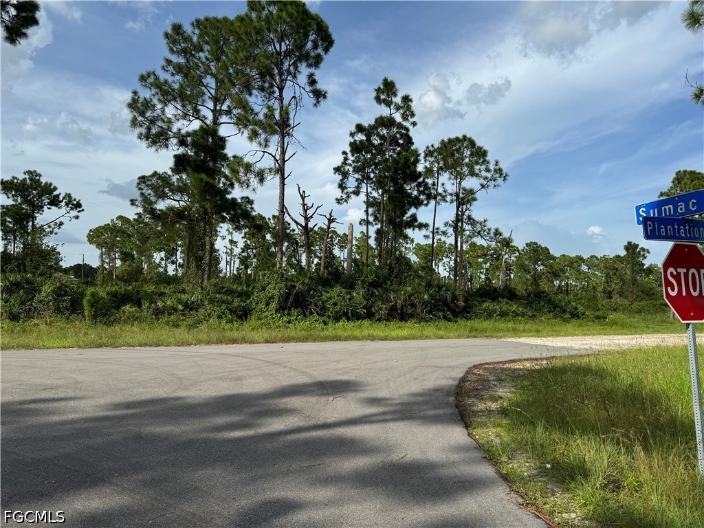 1123 Plantation Road Lehigh Acres FL 33974 2026017543 image1
