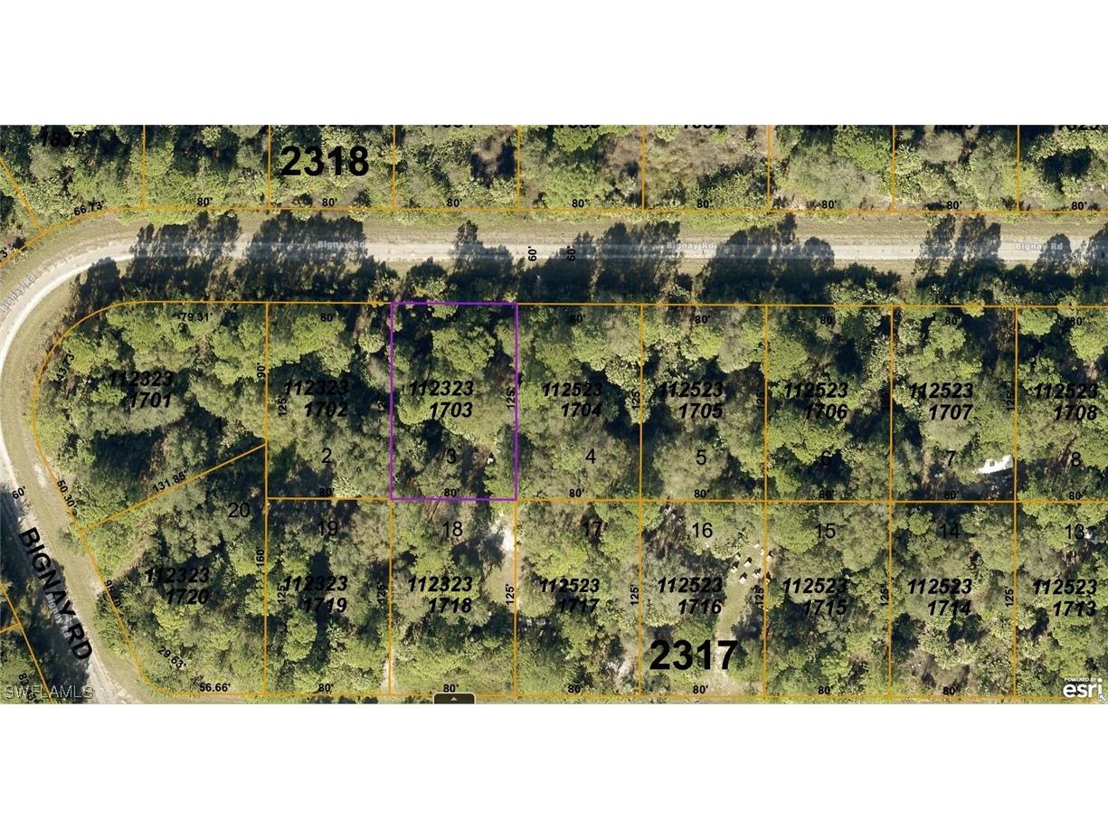 1123231703 Bignay Road North Port FL 34288 223019706 image1