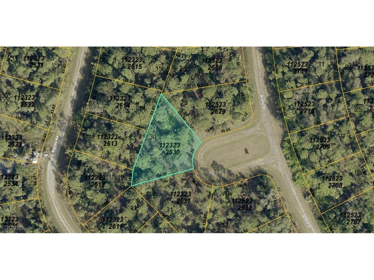 1123232630 Brolly Street North Port FL 34288 2025010604 image1