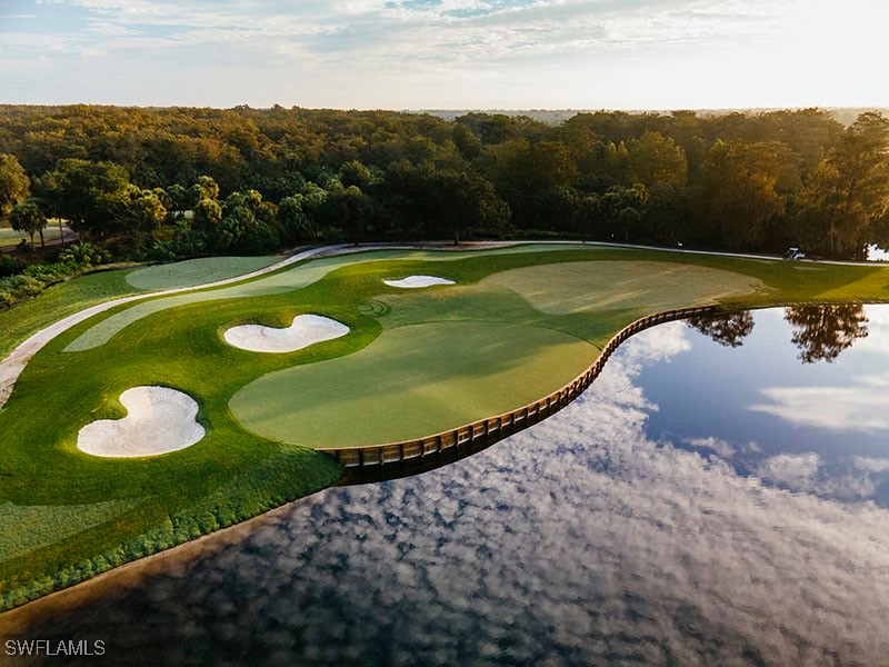 11234 Five Oaks Lane Naples FL 34120 225066924 image28