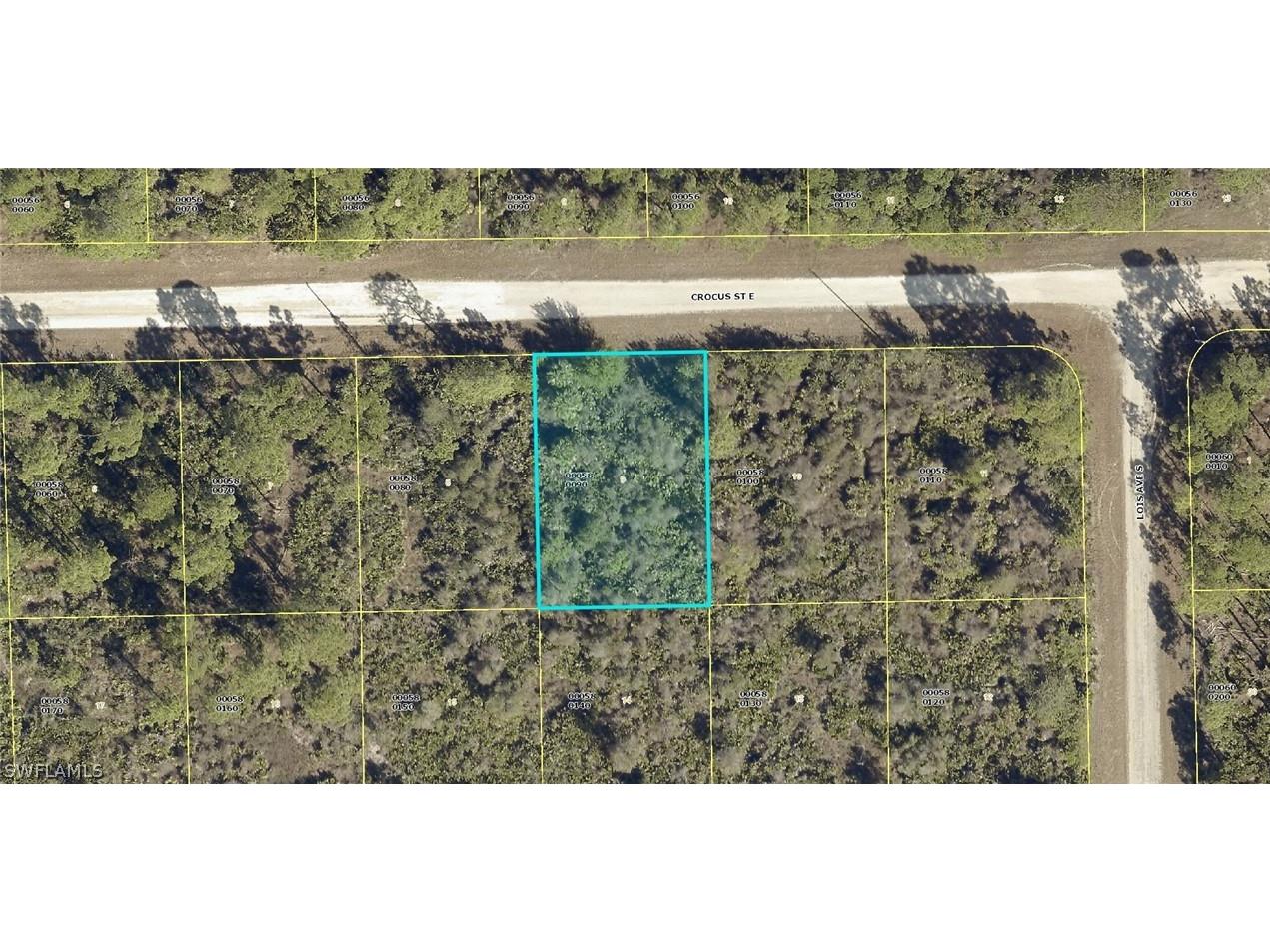 1124 Crocus Street E Lehigh Acres FL 33974 222073116 image1