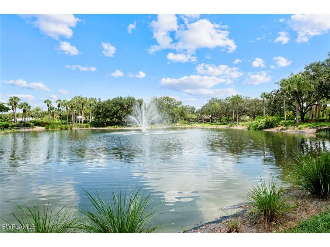 11242 Five Oaks Lane Naples FL 34120 225066959 image41