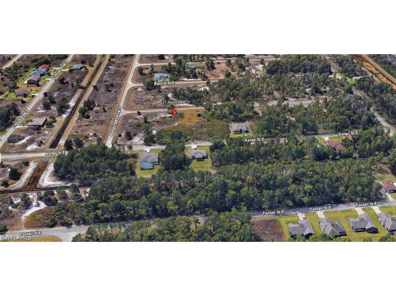 1125 Crocus Street Lehigh Acres FL 33974 224060288 image3