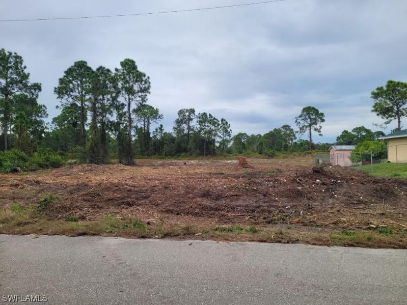 1125 Fogia Street E Lehigh Acres FL 33974 224006816 image1