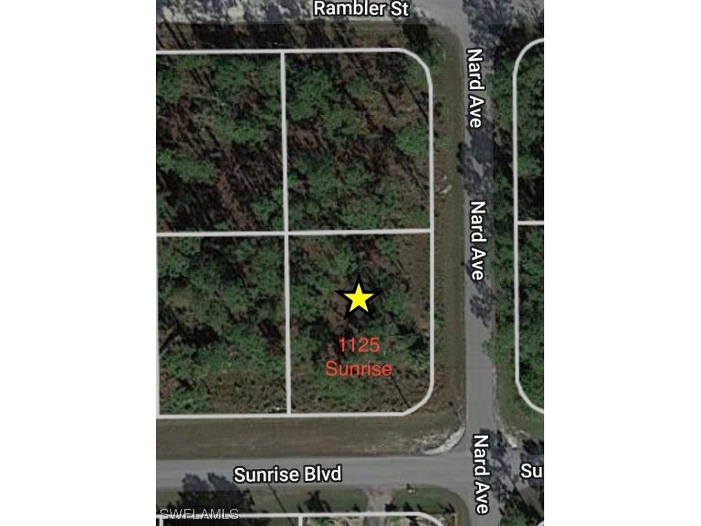 1125 Sunrise Boulevard Lehigh Acres FL 33974 222084362 image1