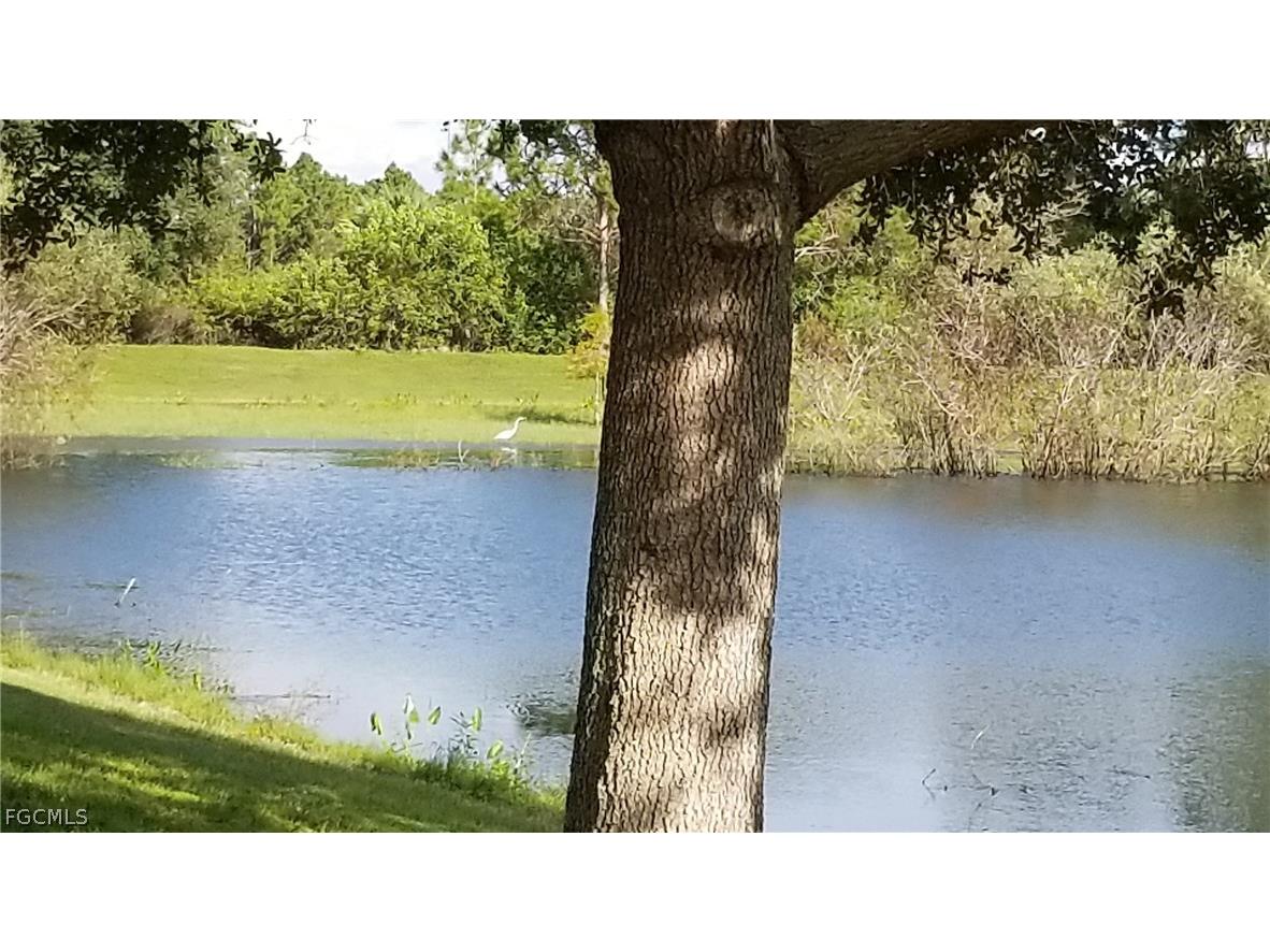 1125230813 Annatto Street North Port FL 34288 2026012325 image32