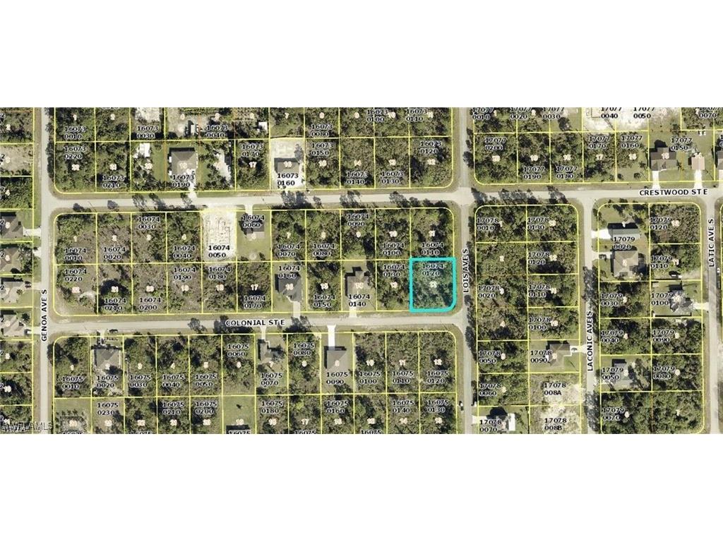 1127 Colonial Street E Lehigh Acres FL 33974 224089896 image1