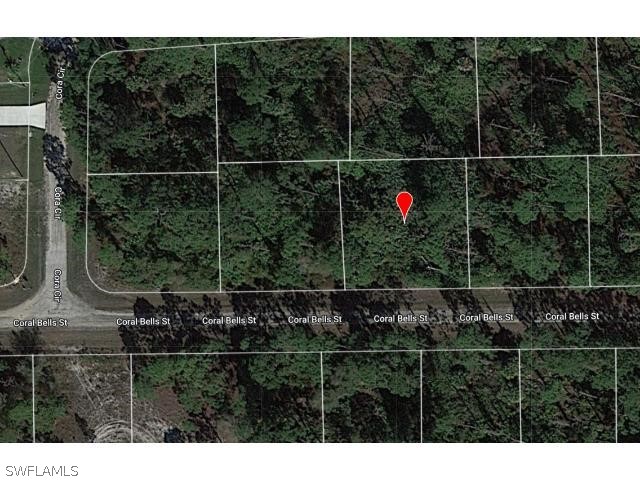 1127 Coral Bells Street E Lehigh Acres FL 33974 224036969 image1