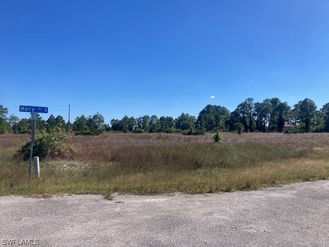 1127 Holly Avenue Lehigh Acres FL 33974 223093055 image1