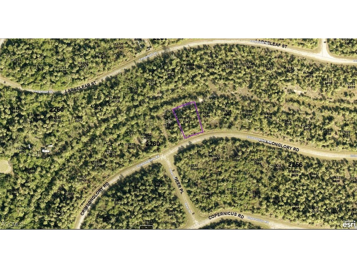 1128226043 Crimsonglory Road North Port FL 34288 2025008366 image2