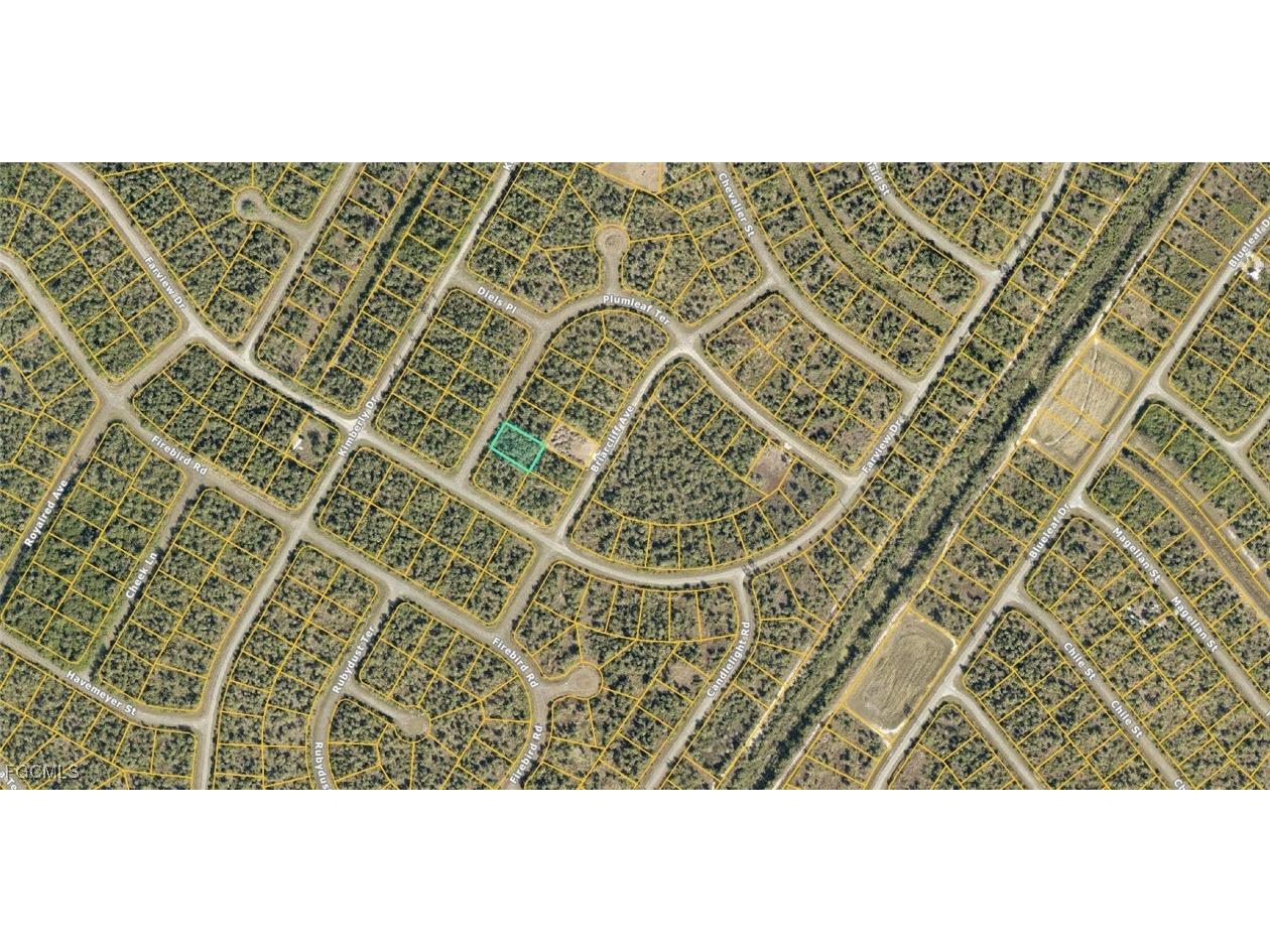 1129223902 Plumleaf Terrace North Port FL 34288 2025010591 image2