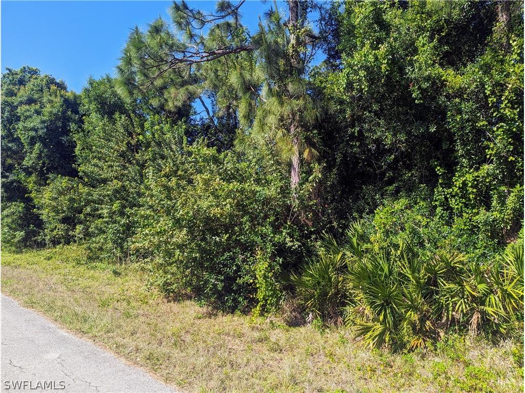 113 Jackson Avenue Lehigh Acres FL 33936 224031410 image1