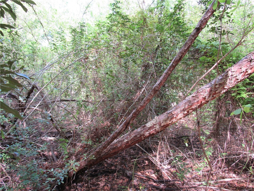 1130 Debbie Lane Labelle FL 33935 2025020500 image3