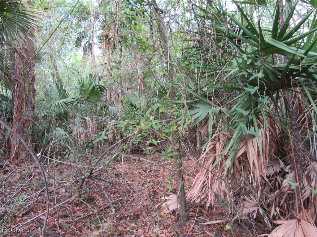 1130 Debbie Lane Labelle FL 33935 2025020500 image5