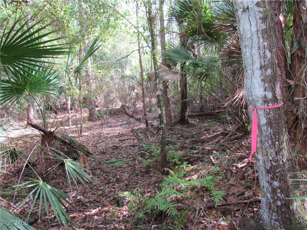 1130 Debbie Lane Labelle FL 33935 2025020500 image6