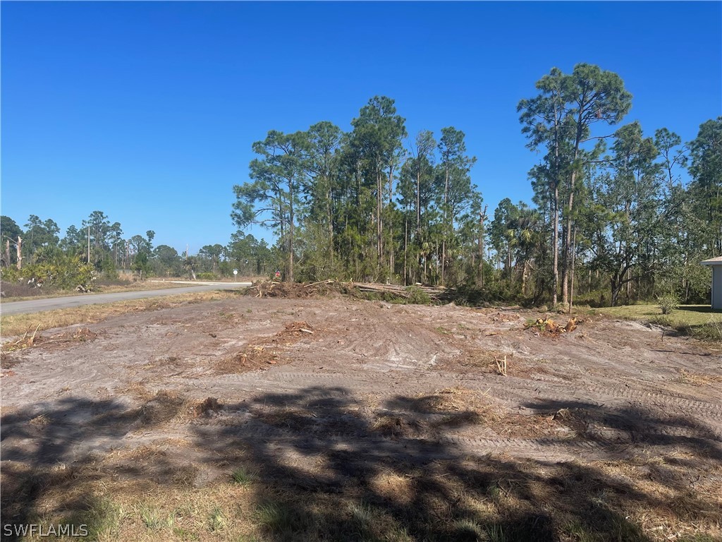 1131 Eclipse Street E Lehigh Acres FL 33974 223010686 image1