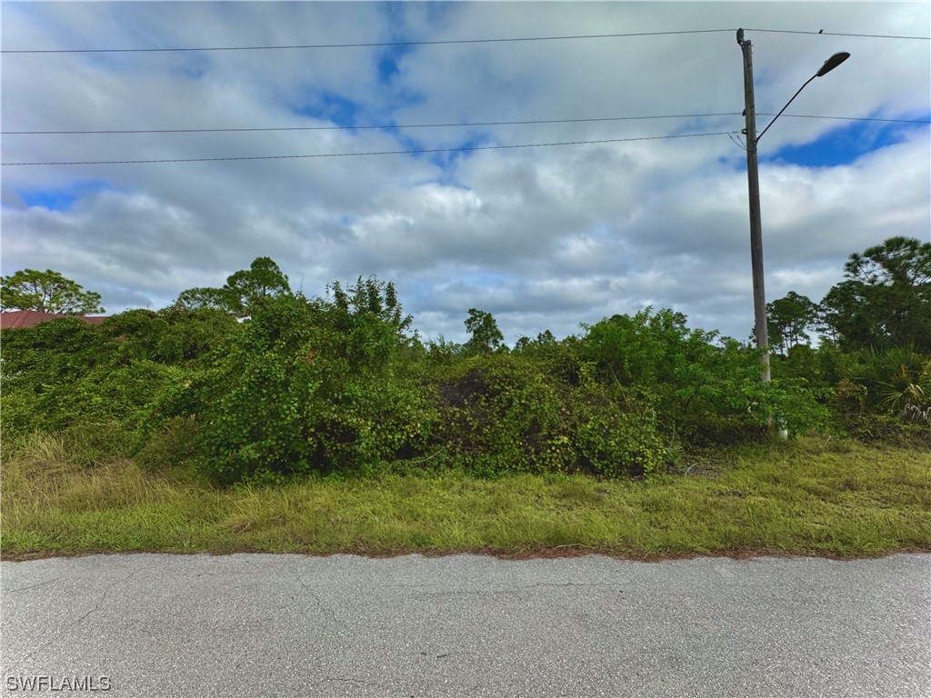 1131 Foggia Street E Lehigh Acres FL 33974 223085494 image1