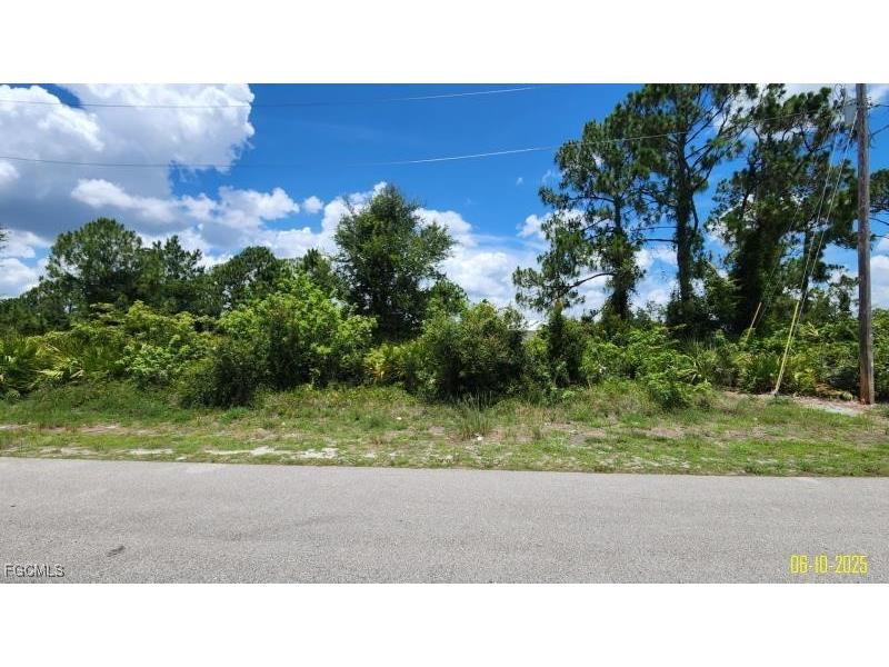 1133 Barfield Street E Lehigh Acres FL 33974 2026004171 image1