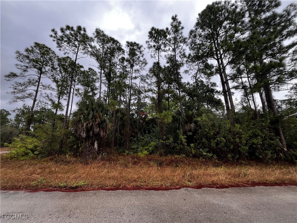 1133 Rambler Street Lehigh Acres FL 33974 2026001790 image2