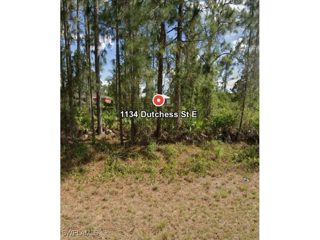 1134 Dutchess Street E Lehigh Acres FL 33974 225060762 image1