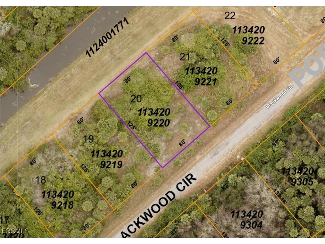 1134209220 Blackwood Circle North Port FL 34288 2025023706 image1