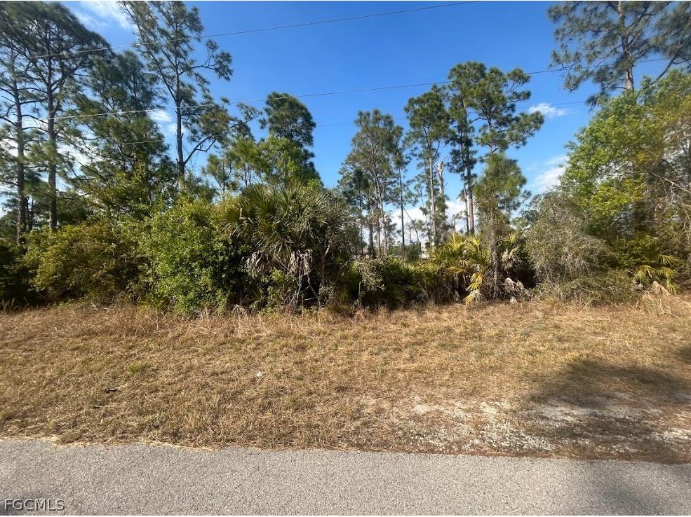 1135 Crestwood Street E Lehigh Acres FL 33974 2026008555 image1