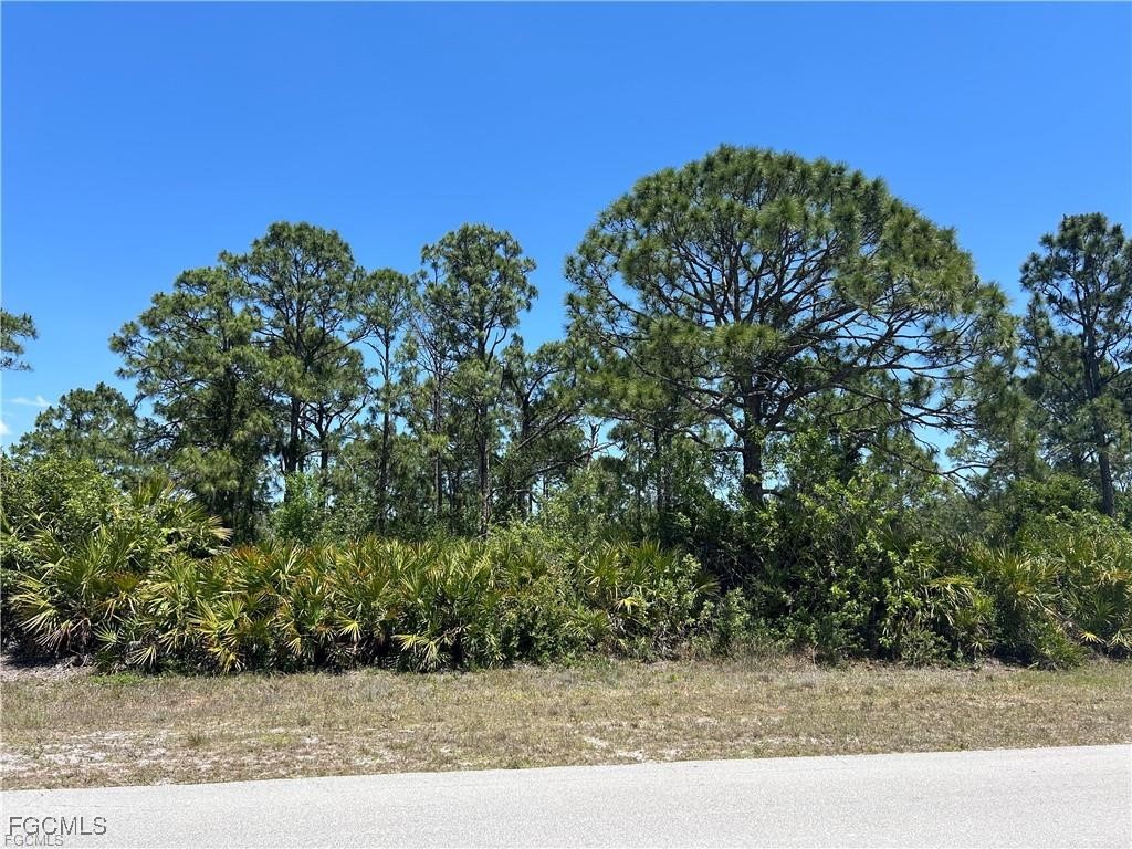 1135 Jaguar Boulevard Lehigh Acres FL 33974 2025017610 image1