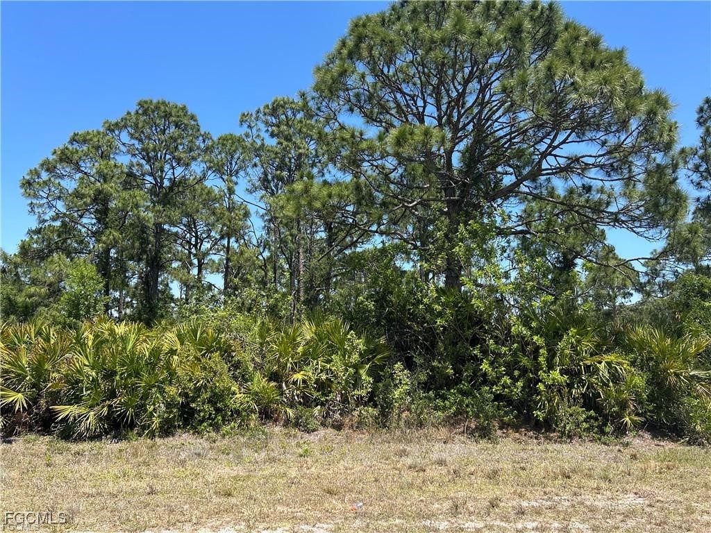 1135 Jaguar Boulevard Lehigh Acres FL 33974 2025017610 image2